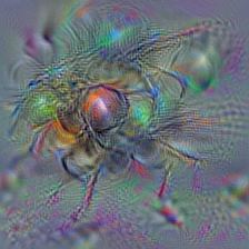 n02177972 weevil